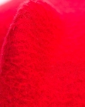 Шапка с козирка Aversa, Червен Цвят